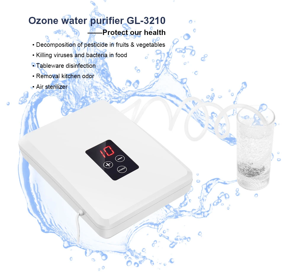 Wall Mounted Vegetable Purifiers Ozone Water Purifier Ozone Generator Home Appliance Fruit and Vegetable Clean Ozone Water Sterilizers