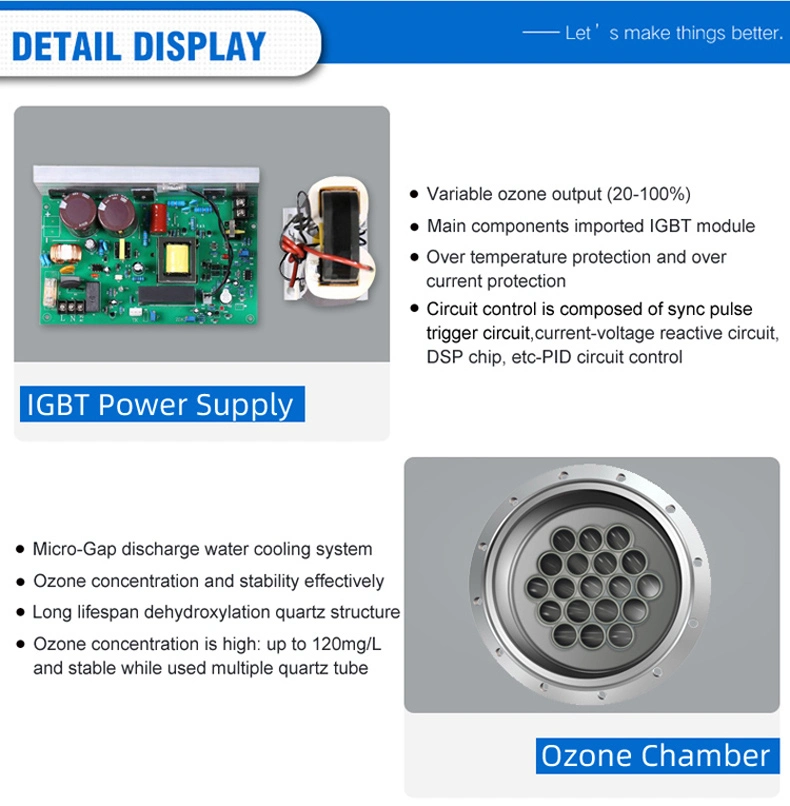 Flygoo 40g Integrated Ozone Generator with Oxygen Generator for Fish Farm