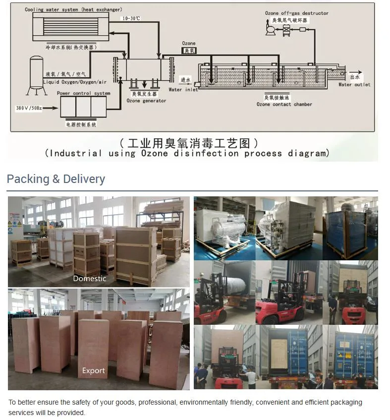 Bnp Manufacturer 1.5kg Industrial Ozone Generator for Farm Fish Pond Waste Water Gas Treatment