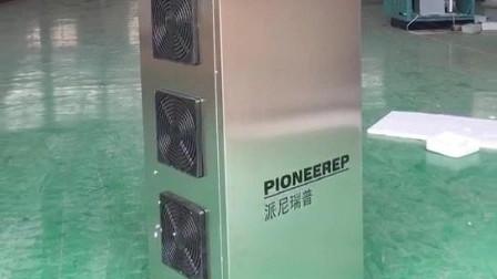 100-500g High Frequency Ozone Generator for Water, Air, Space, Food Sterilization and Disinfection