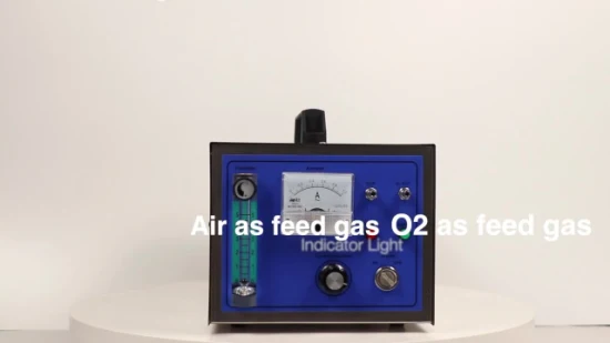 Best 15g Ozone Generator for Water Treatment and Air Disinfection