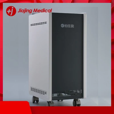 Wall Mounted Plasma Air Sterilizer UVC Ozone Ultraviolet with Negative Ions to Inactivate Viruses