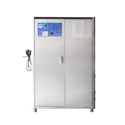 Industrial Ozone Generator 40g/Hr Drinking Water Treatment Ozone Generator Air Source Disinfection Machine Waster Water Treatment Ozone Generator for Aquacultur