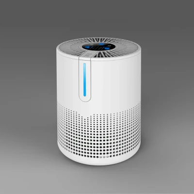 High Efficiency Portable Desktop Quiet Desktop Air Purifier H13 HEPA Inoizer Air Purifier for Office Home Hotel Usage Odor Smoke Dust Pets Eliminator