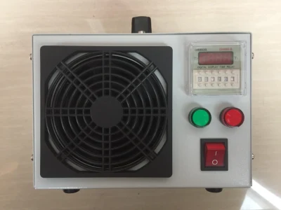 220V Portable 20g/H Ozone Generator Used for Air Purification