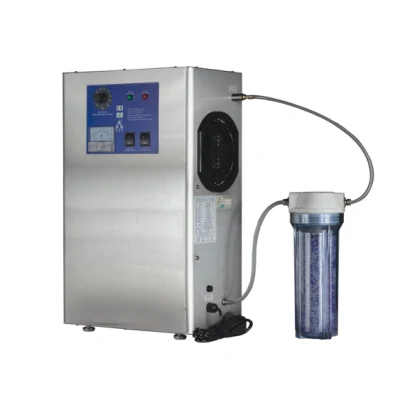 China Bnp Manufacturer Cheap Oz-3G Home Ozone Generator Air Purifier for Sale Pool Water Treatment